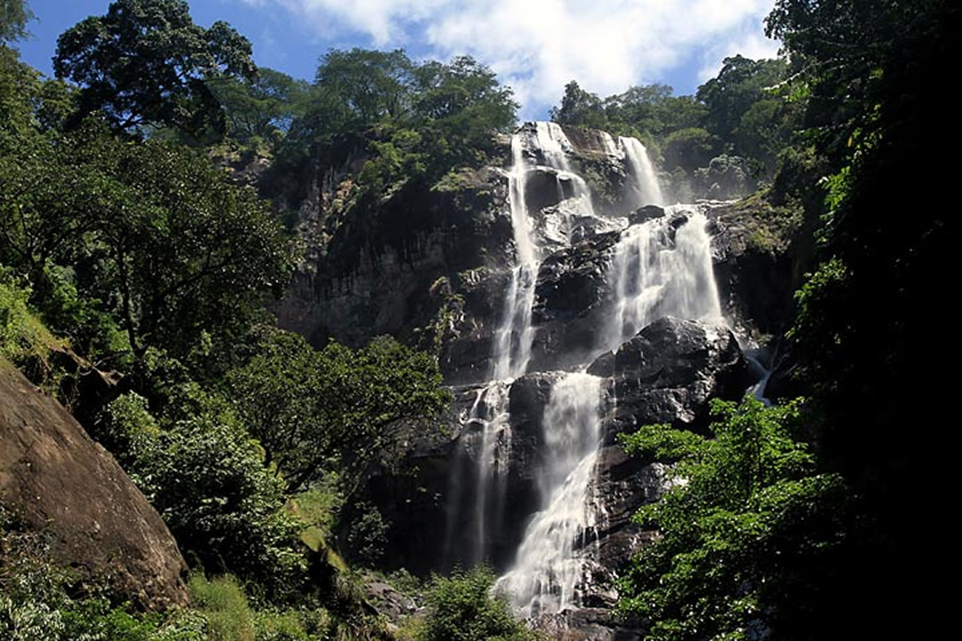 Tanzania mountains